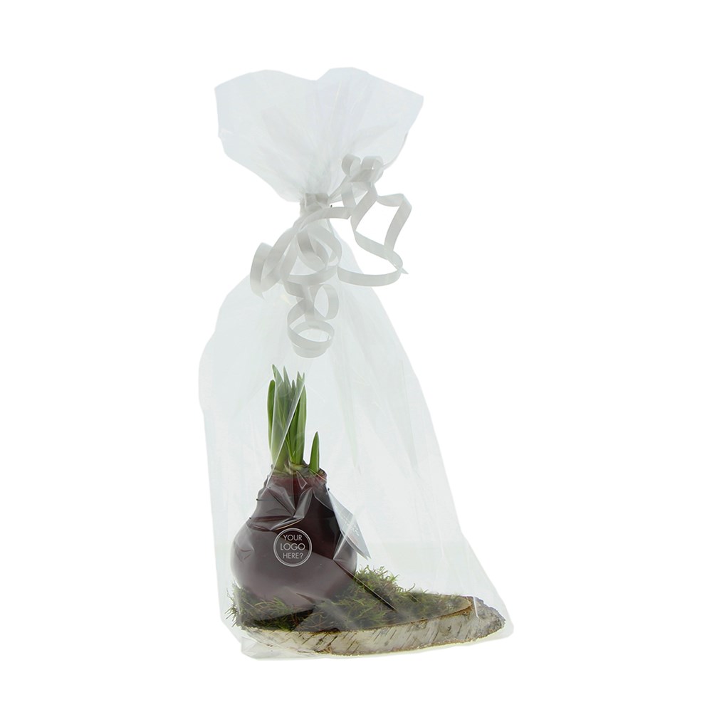 No Water Flowers® - Waxz® on wood, Zonder verpakking, Bordeaux