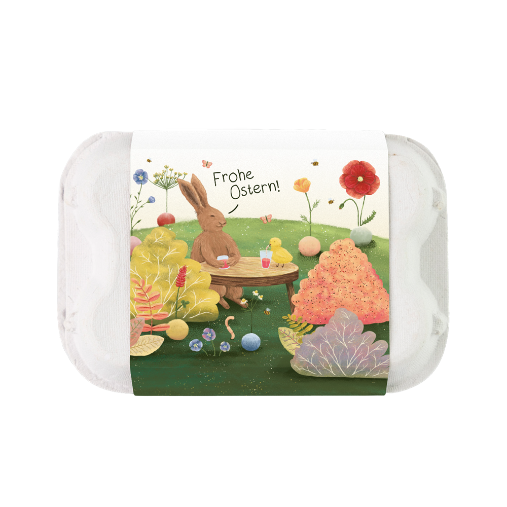 Eggbox 6 stuks Thema
